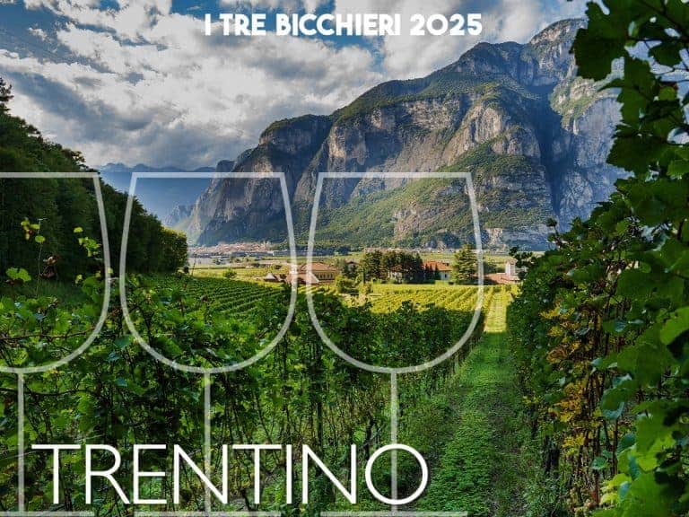 Tre Bicchieri Gambero Rosso 2025: i vini premiati del Trentino