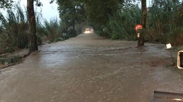 Nubifragio a Bolgheri: gravi danni e vendemmia a rischio