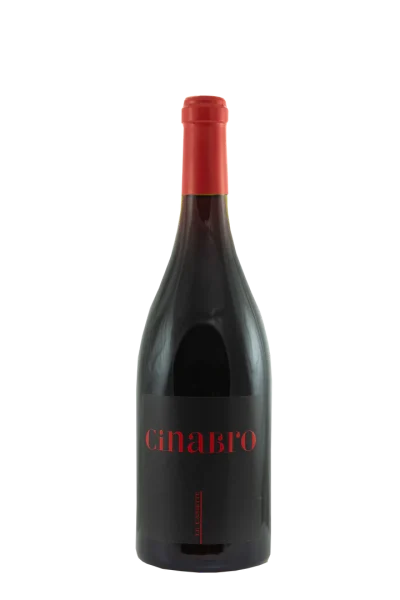 Le Caniette - Cinabro Marche Rosso 2020_sommelierlife