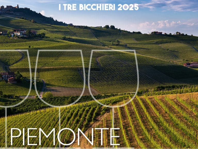 Tre Bicchieri Gambero Rosso 2025: i vini premiati del Piemonte