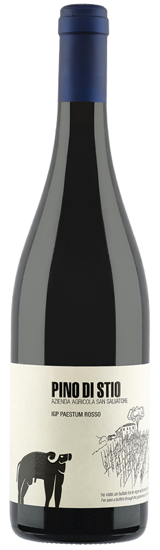San Salvatore 1988 - Pino di Stio 2021_sommelierlife