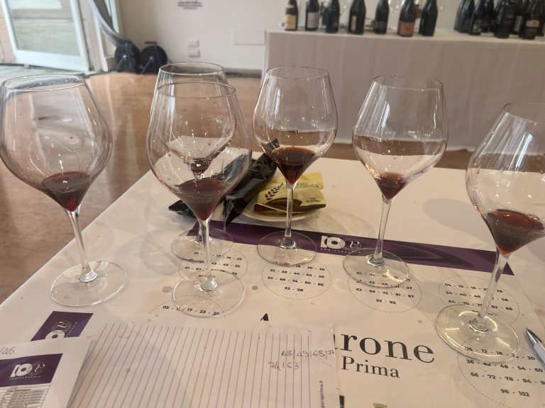 I migliori Amarone della Valpolicella 2020 da Amarone Opera Prima