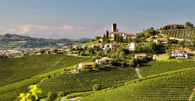 Otto Barbaresco delle ultime annate da non perdere per nessun motivo