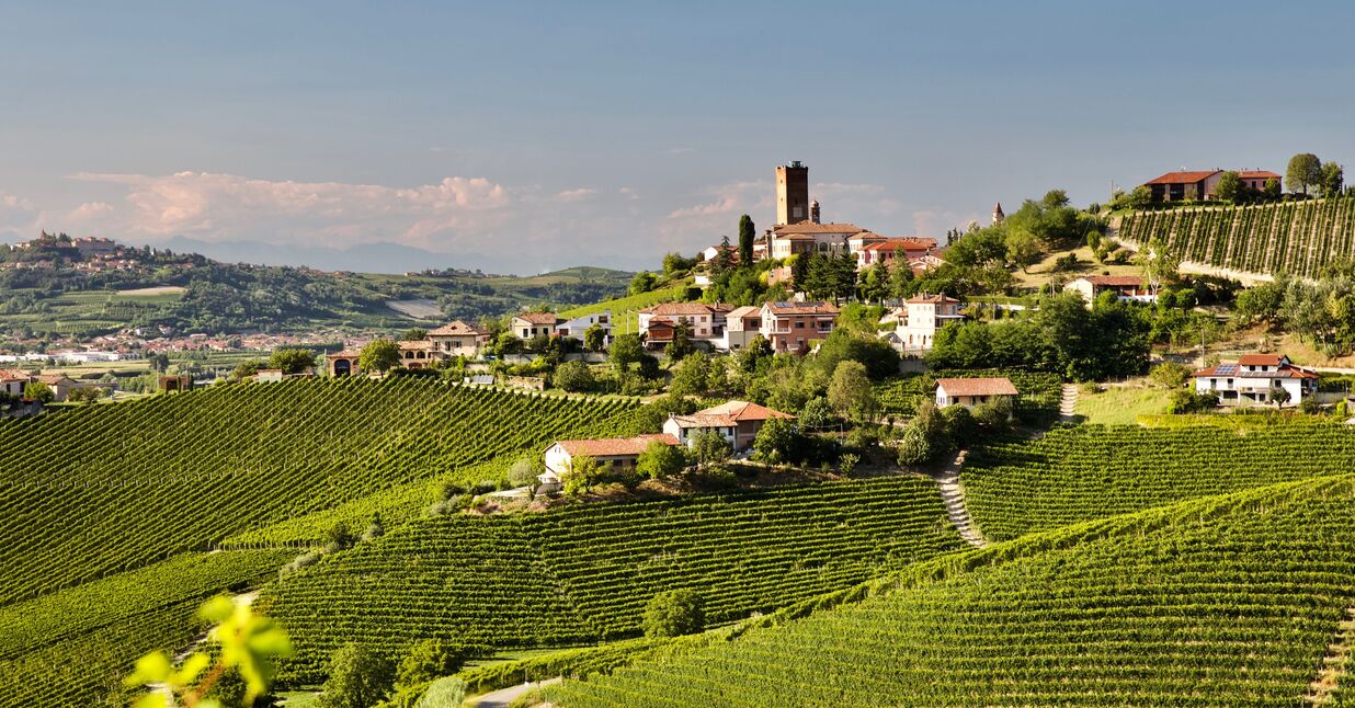 C’è un Barbaresco tra i migliori dieci vini del 2025 per Wine Spectator. Ecco qual è