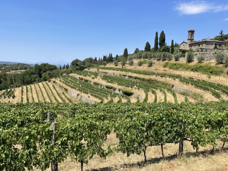Ecco i migliori Chianti Classico delle annate 2022 e 2023