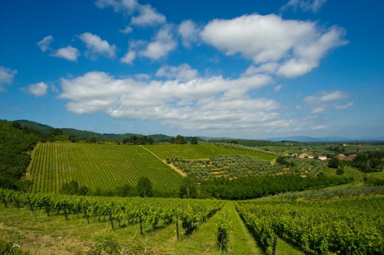 Un grandissimo Merlot da un territorio in ascesa