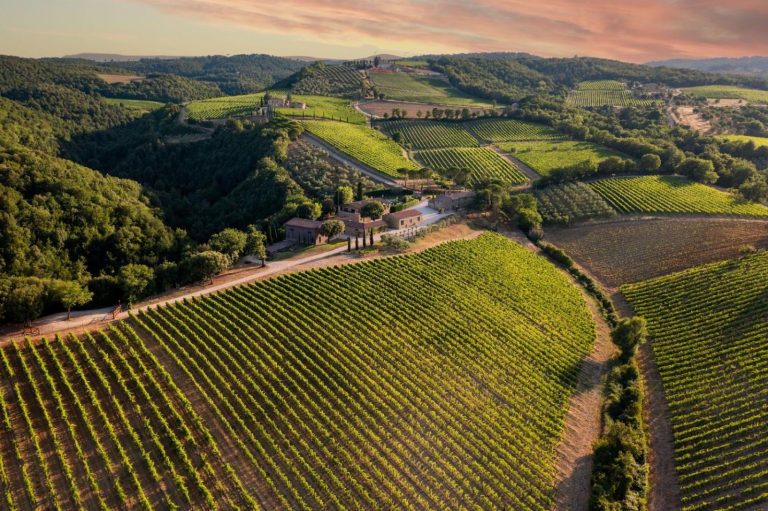 Un Rosso di Montalcino strepitoso di una piccola azienda biodinamica