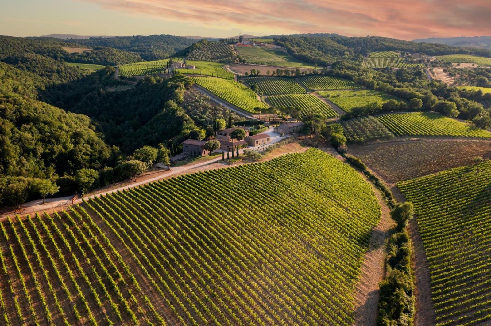 Un Rosso di Montalcino strepitoso di una piccola azienda biodinamica