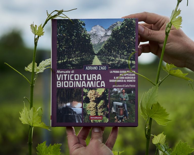 Il nuovo progetto di un pioniere della biodinamica dietro alcuni dei migliori vini italiani