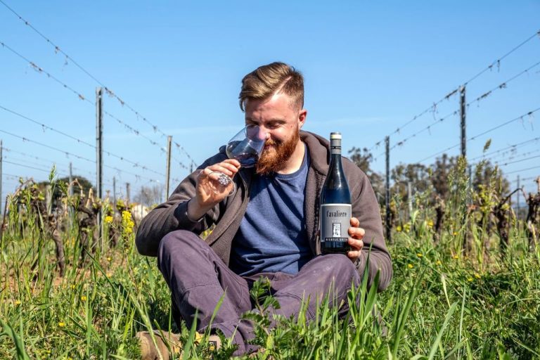 Anche a Bolgheri si produce un Sangiovese da provare: ecco qual è