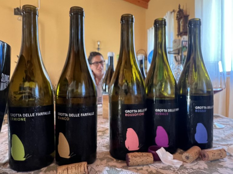 Una cantina abruzzese che fa vini interessanti a due passi da una spiaggia bellissima