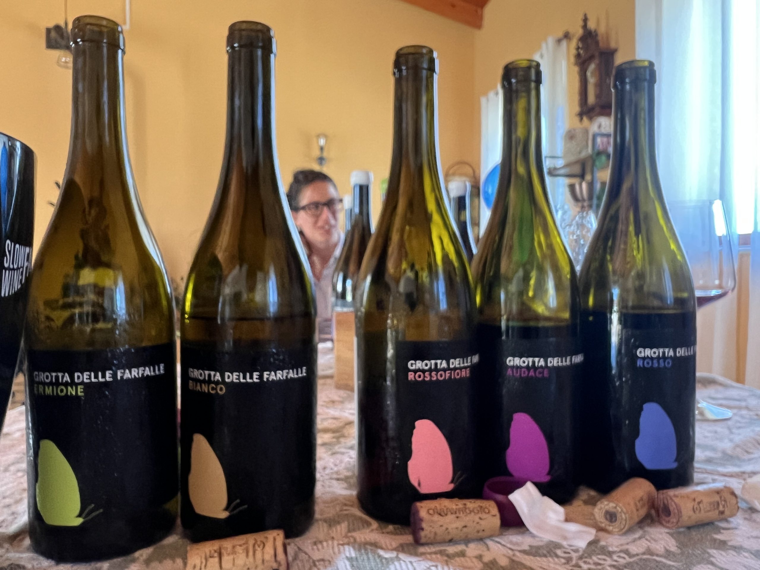Una cantina abruzzese che fa vini interessanti a due passi da una spiaggia bellissima