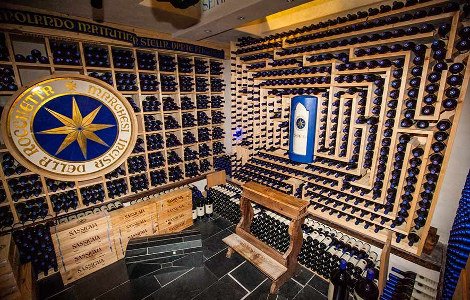 Il secondo vino di Tenuta San Guido è davvero al livello di Sassicaia?